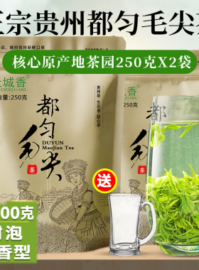 正宗贵州都匀毛尖茶叶2025新茶特级高山云雾绿茶浓香型袋装500g