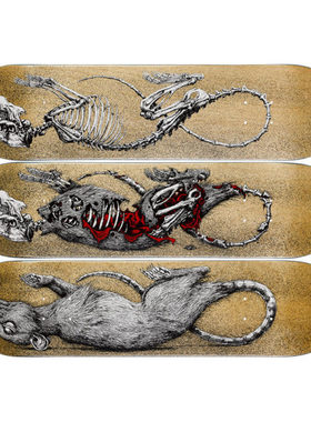 比利时The Skateroom 装饰滑板 ROA Decay 腐朽