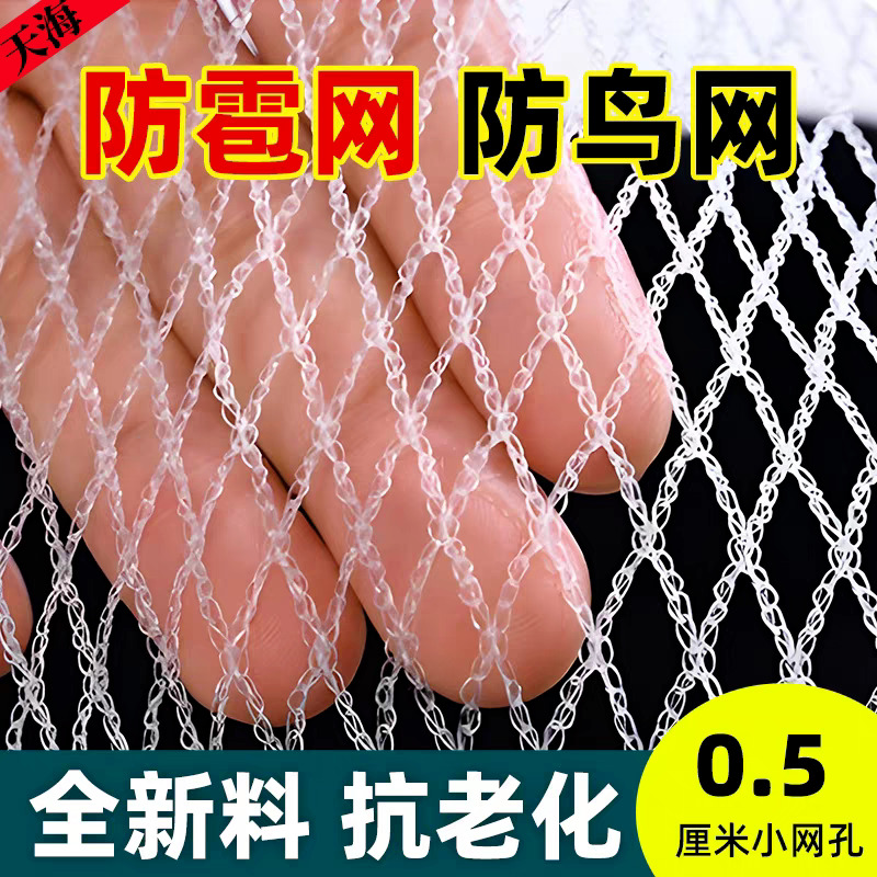 果园葡萄园大棚尼龙防鸟网