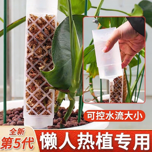 龟背竹水苔柱可拼接延长热植攀附柱绿萝爬藤植物攀爬固定神器支架
