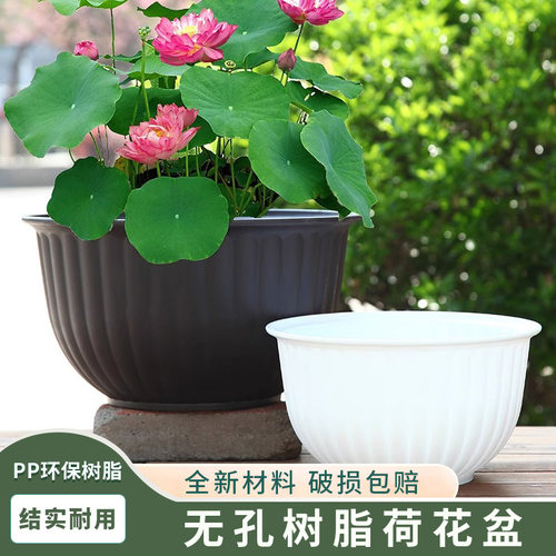 水培无孔花盆睡莲碗莲专用盆加厚