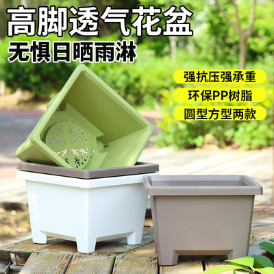 小果汀方形球根高脚树脂种植盆