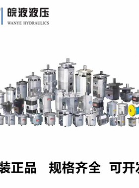 CBTG-F306-AL89 齿轮油泵液压泵CBTQ-F420-AL 合肥皖液压元件有限