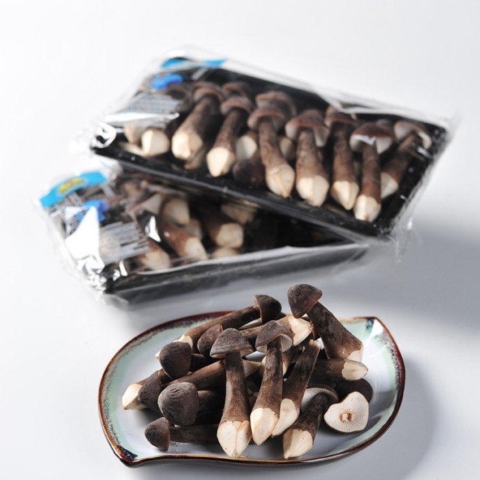 新鲜黑皮鸡枞菌 鸡茸 鸡纵菌酒店 食用菌 火锅 新鲜蘑菇