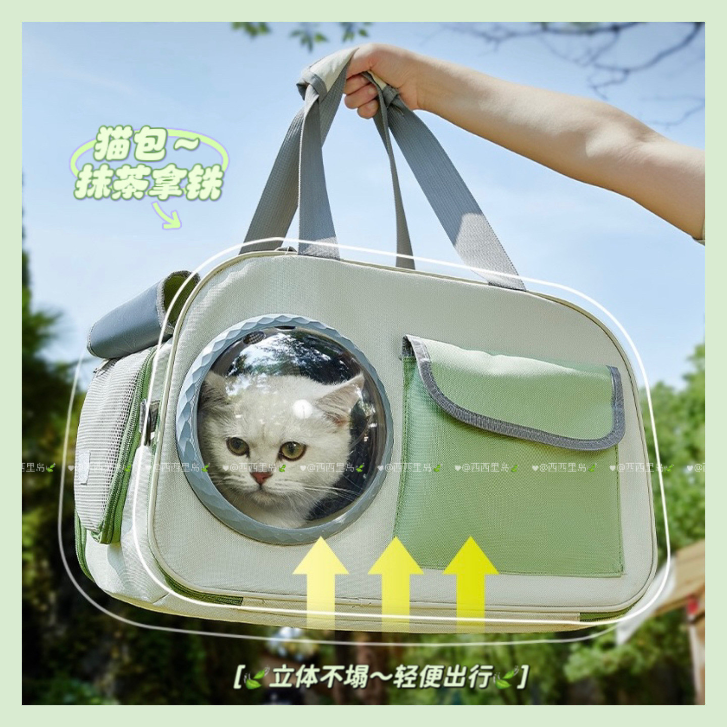 猫包外出便携轻便款大容量透气单肩包猫咪携带猫笼狗包小猫手提包
