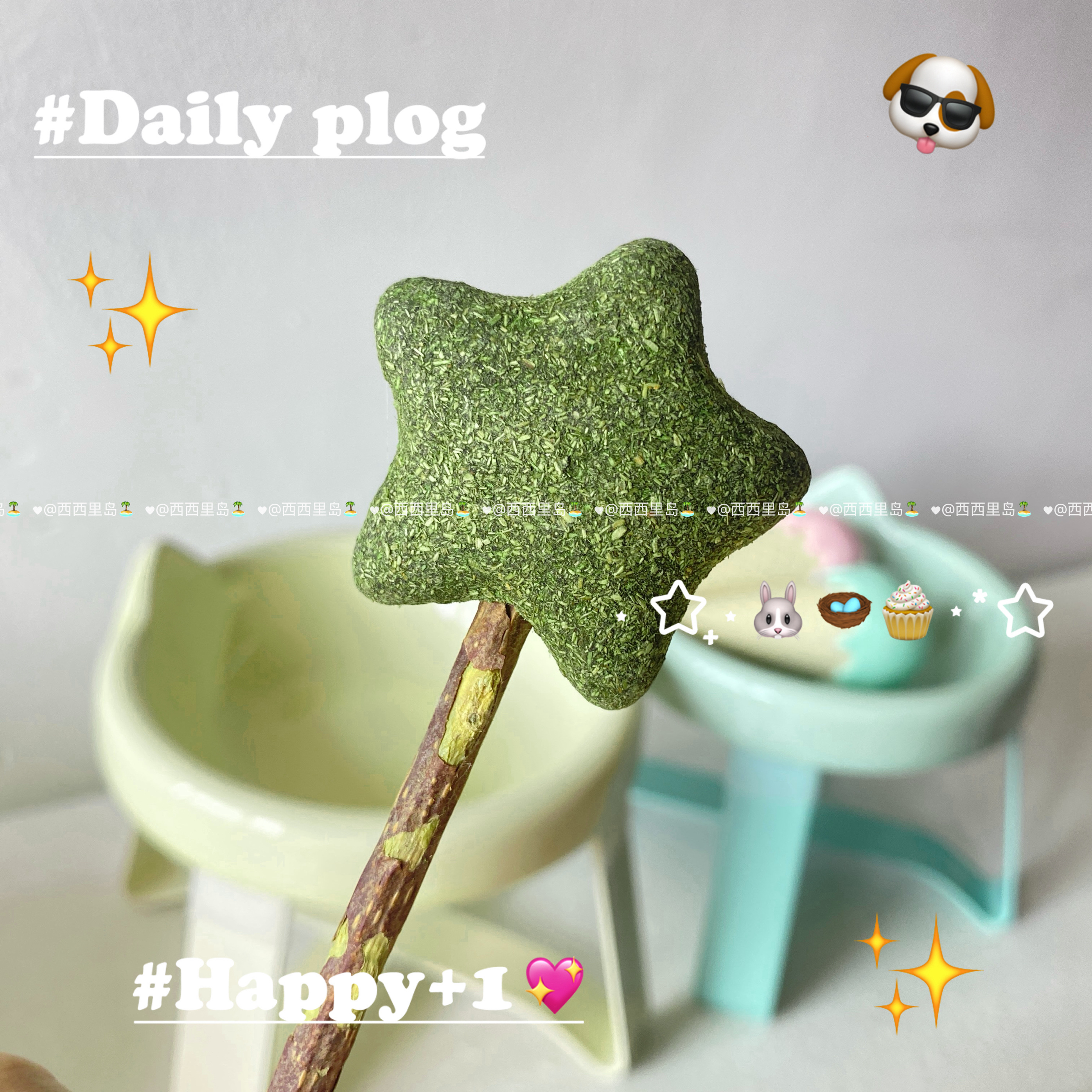 星星棒猫薄荷木天蓼猫咪磨牙棒