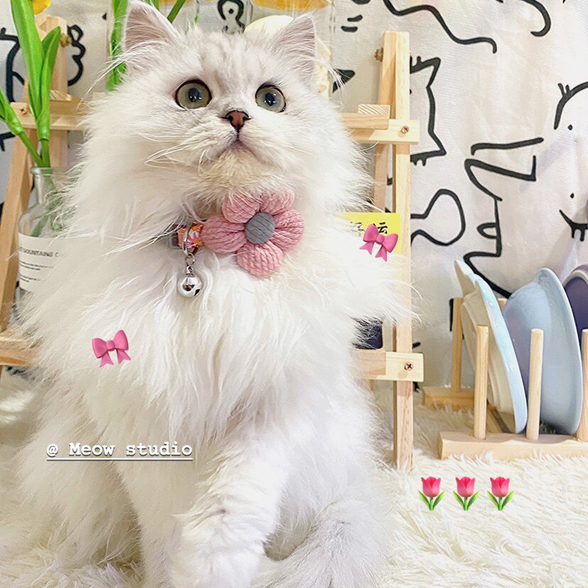 莫奈花园～猫咪项圈超柔软防丢失图片