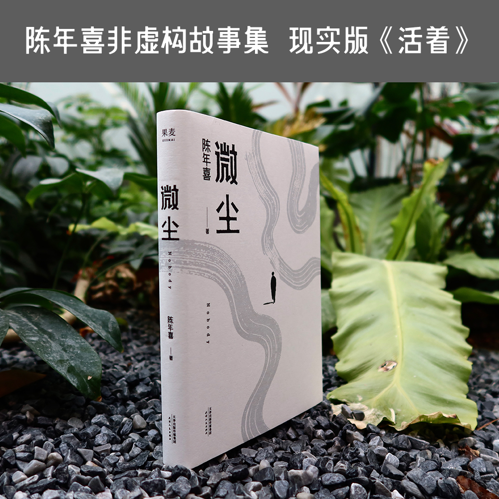 微尘  陈年喜非虚构故事集 卑微如尘 也要热烈地活着  易中天推荐 21篇故事 50余位人物画像 散文 文学 果麦文化出品