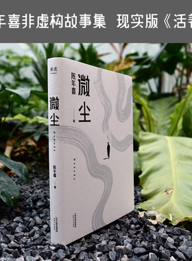 微尘  陈年喜非虚构故事集 卑微如尘 也要热烈地活着  易中天推荐 21篇故事 50余位人物画像 散文 文学 果麦文化出品