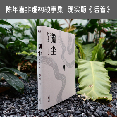 微尘  陈年喜非虚构故事集 卑微如尘 也要热烈地活着  易中天推荐 21篇故事 50余位人物画像 散文 文学 果麦文化出品