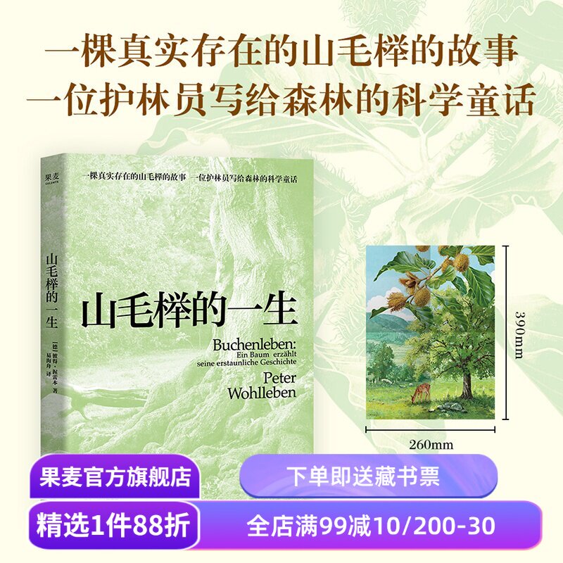 【赠海报】山毛榉的一生 彼得·渥雷本 德国护林员写给森林的科学童话 树的秘密生命作者新作 自然文学 散文 果麦出品图片