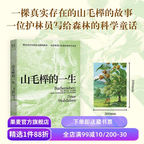 【赠海报】山毛榉的一生 彼得·渥雷本 德国护林员写给森林的科学童话 树的秘密生命作者新作 自然文学 散文 果麦出品