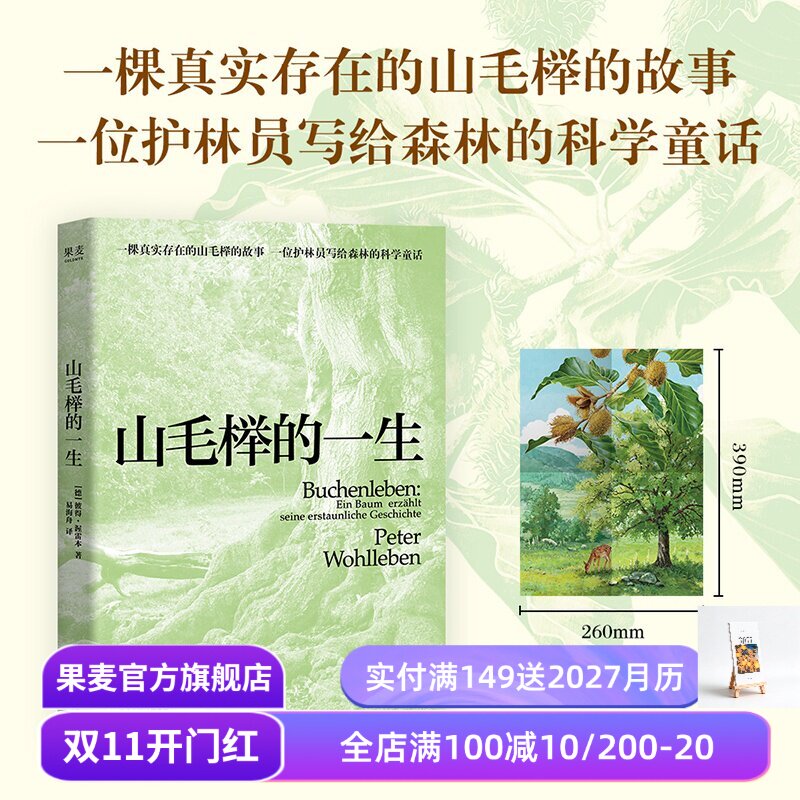 【赠海报】山毛榉的一生 彼得·渥雷本 德国护林员写给森林的科学童话 树的秘密生命作者新作 自然文学 散文 果麦出品