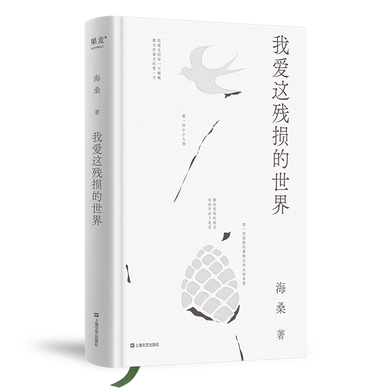我爱这残损的世界 海桑 小嘉推荐 现代诗歌集 文学诗歌 果麦出品