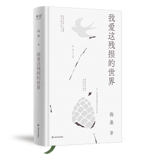 我爱这残损的世界 海桑 小嘉推荐 现代诗歌集 文学诗歌 果麦出品