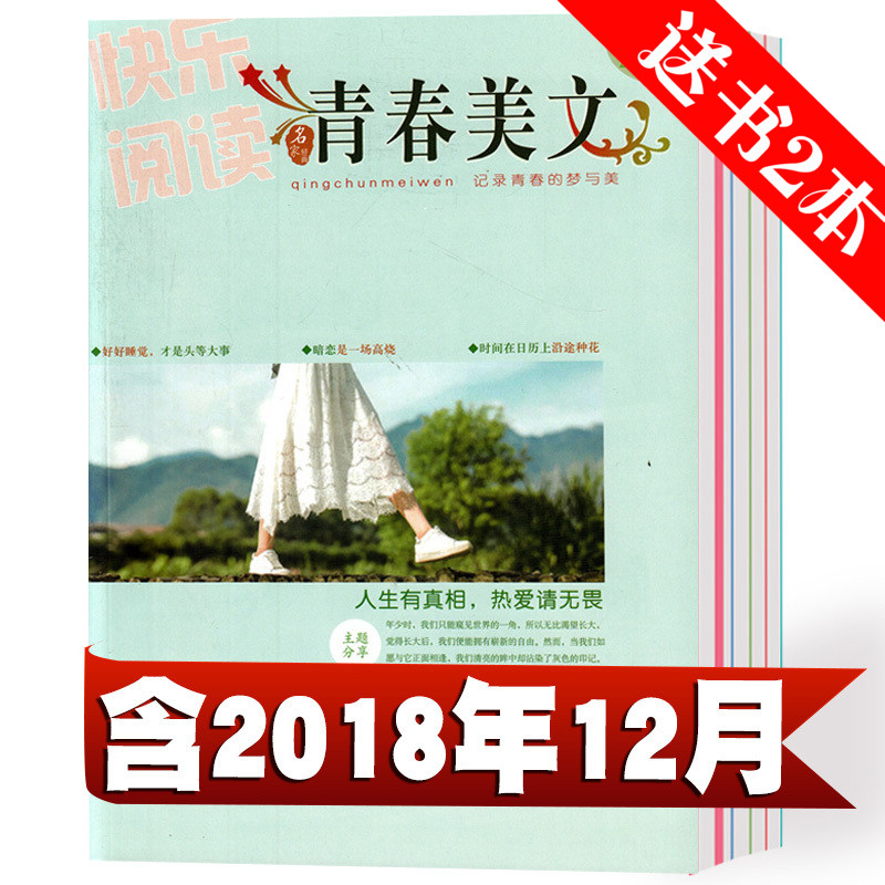 【总12本打包】青春美文杂志2018年6/7/8/11/12月+2017年7/8/10-12月+赠格言2本 文学文摘哲思系列期刊清仓包邮