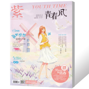 梦想分你一半 我 青春校园言情励志文摘期刊 4月合刊 疯狂阅读青春风杂志2020年3