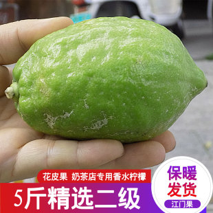新鲜正宗广东无籽香水柠檬5斤二级果奶茶店专用绿青柠檬江门水果