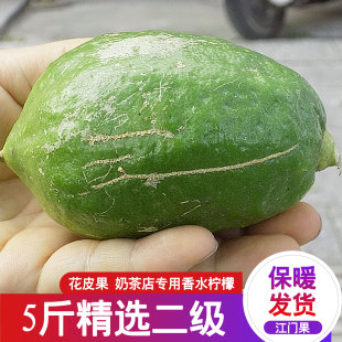 新鲜正宗广东无籽香水柠檬5斤二级果奶茶店专用绿青柠檬江门水果