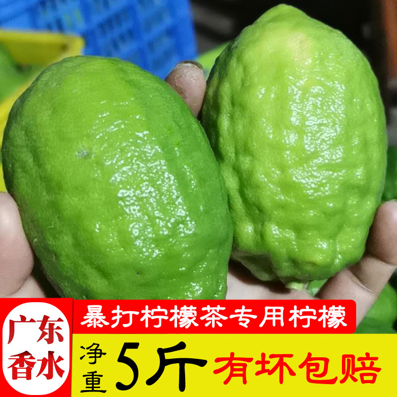 新鲜广东香水柠檬5斤一级中大果无籽绿青柠檬奶茶店专用皮薄水果