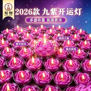九紫离火灯纳吉九紫4小时紫色供佛财神长明灯莲花酥油灯无烟