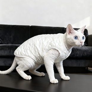 阿比西尼亚猫衣服冬季保暖小猫幼猫防寒加棉无毛德文猫过冬马甲