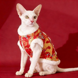 猫咪衣服冬装龙凤背心马年春节款喜庆德文阿比龙纹不束缚节日服饰
