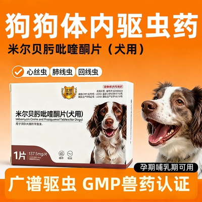 狗狗驱虫药长效驱虫去线虫蛔虫