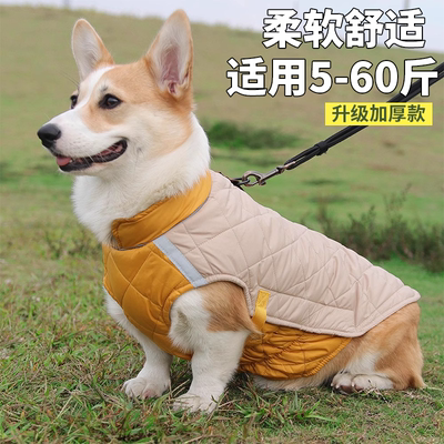 可牵引狗棉服中大型犬
