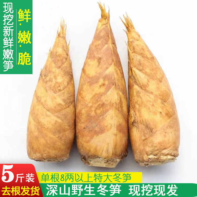 江西农家2024年现挖冬笋新鲜带壳竹笋野生山笋去老根特大黄泥笋_虎窝淘