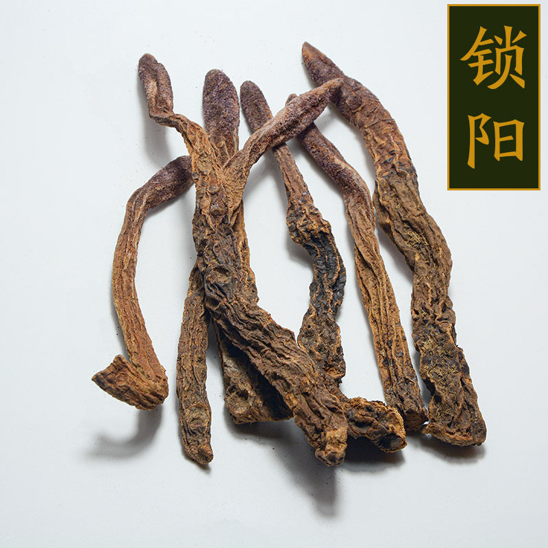 金锁阳琐阳不老药锈铁棒地毛球黄骨狼锁严子羊锁不整根