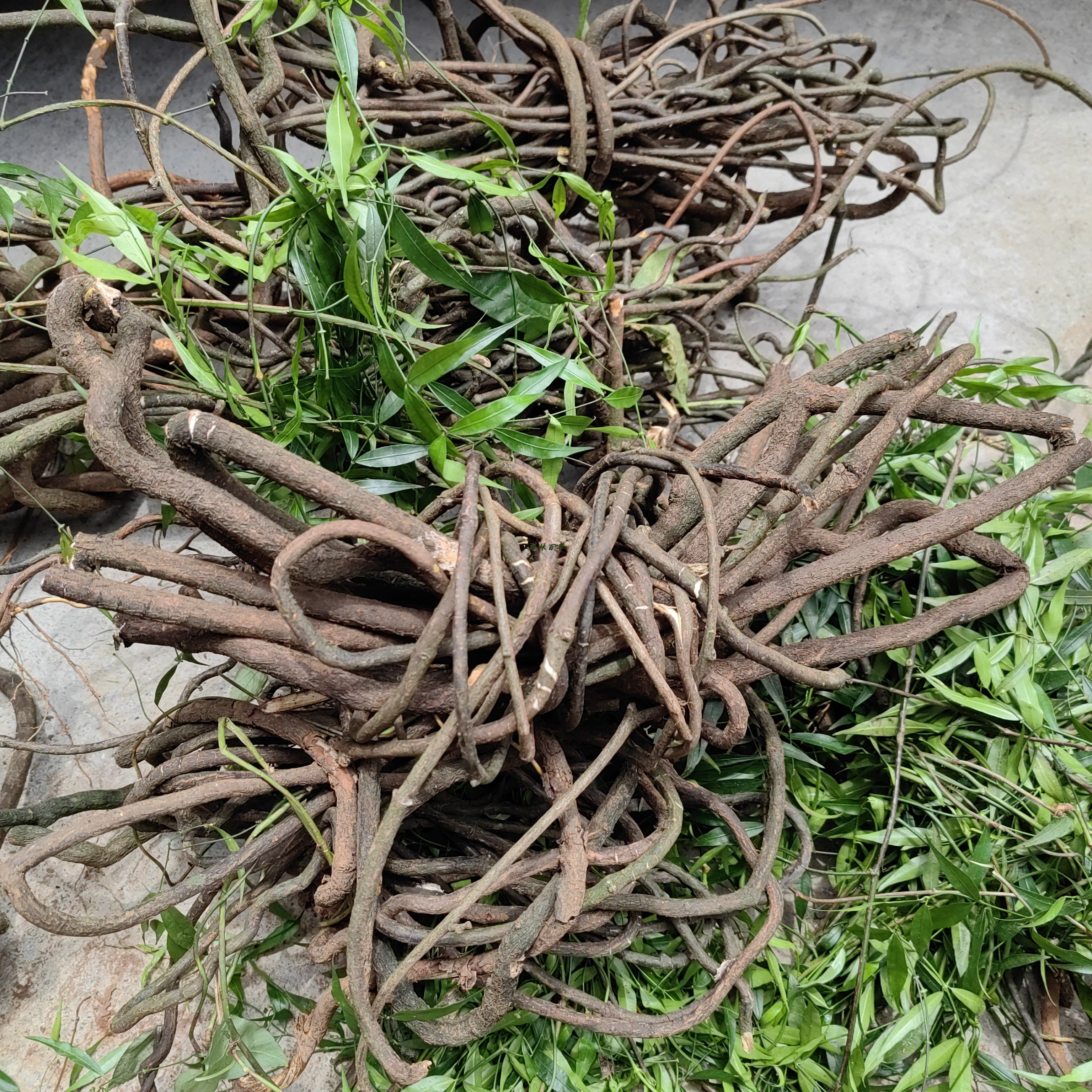 贵州黑骨藤达风藤新鲜/干品黑龙骨飞仙藤铁牛穿石夹包邮