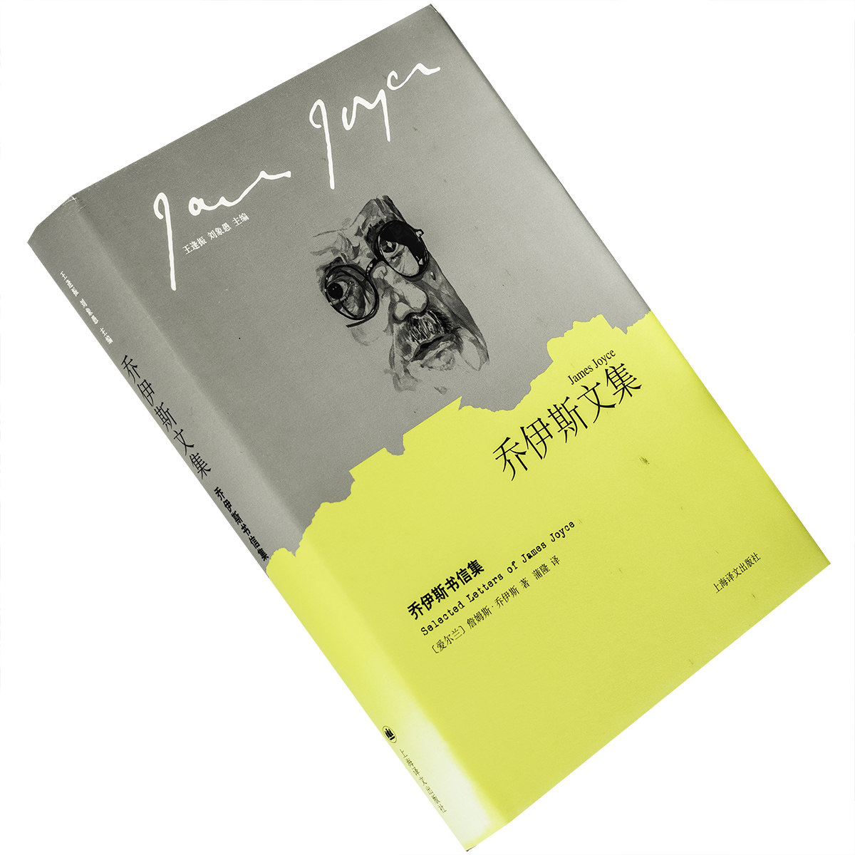 乔伊斯书信集 乔伊斯文集 蒲隆翻译 精装 上海译文出版社 正版书籍 老