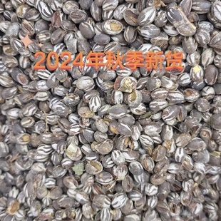 杨拉罐高蛋白柳根鱼饵蜜袋鼯松鼠鸟仓鼠洋辣子宠物零食