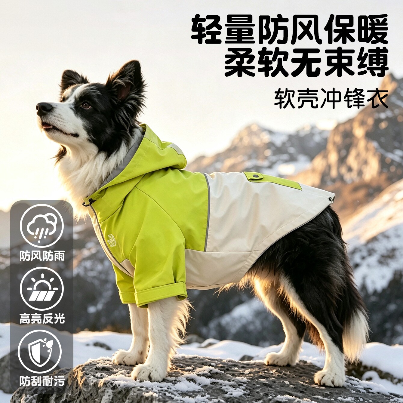 猫狗连帽防风防水户外冲锋衣