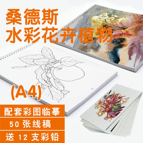 桑德斯水彩花卉插画涂填色描摹本