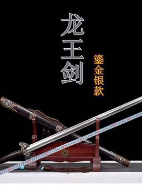 龙泉高档收藏百炼钢宝剑龙王剑