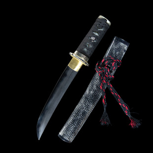 高档手工鱼皮鞘日本刀一体日式短刀东洋胁差防身外贸tanto未开刃