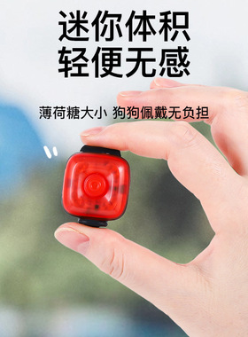 宠物LED狗狗发光吊坠夜光防走失丢灯夜间遛狗灯泰迪轻便无感挂饰