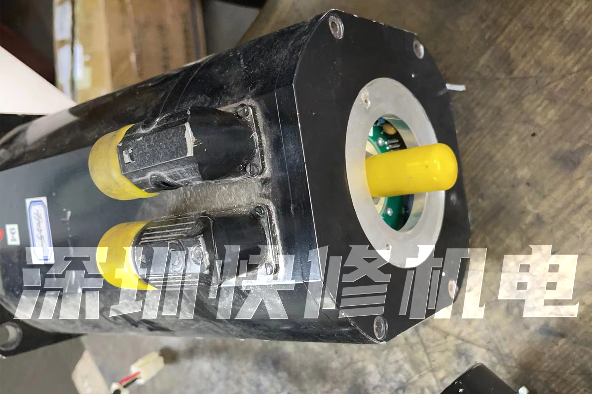 5AL-1200-05伺服电机SELIN SISTEMI马达磁铁线圈编码器轴承等维修