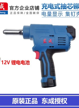 东成充电式抽芯拉铆枪DCPM40/50(E型)锂电铆钉枪12v电动铆接工具