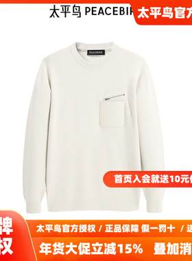 【商场同款】太平鸟男装圆领毛衣冬新款工装保暖针织衫B1EBE4240