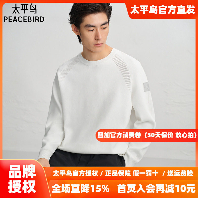 【商场同款】太平鸟男装毛衫26冬季新款宽松套头衫潮 B2EBF4507