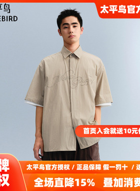 太平鸟男装 休闲衬衫时尚刺绣条纹衬衫B2CJF222J