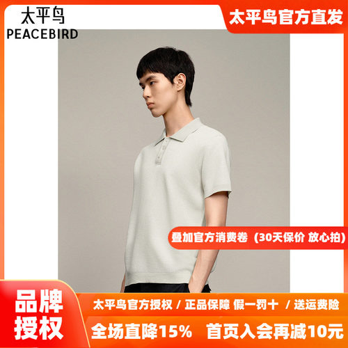 太平鸟男装T恤26夏季新款柔软纯色polo衫 B1EEF2328