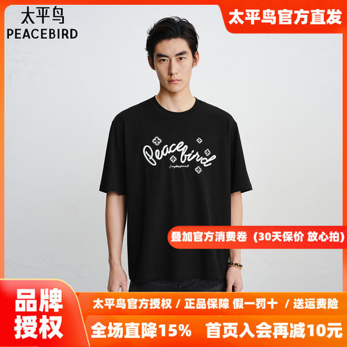 【商场同款】太平鸟男装T恤26秋季新款刺绣印花短袖潮 B2CNG1123