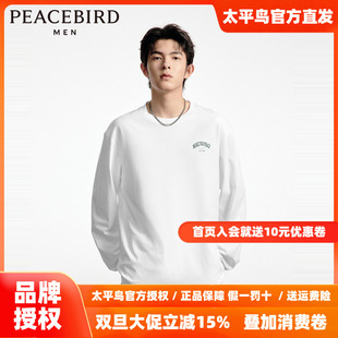 音乐青年 刺绣长袖 太平鸟男装 新款 T恤潮B1CPD3301 2025年秋季