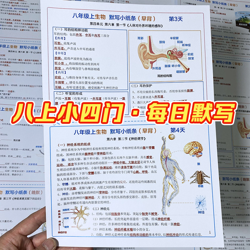 2026新版八年级上册小四门必背知识总结史地生政每日默写纸条彩印