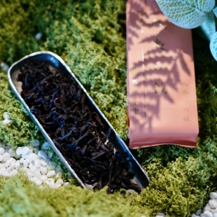 武夷岩茶|天游峰肉桂 入门口粮正岩足火甘甜饱满花果香 不秋草堂