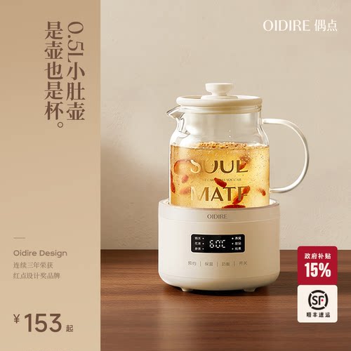 【办公室煮茶壶】养生壶小型一人